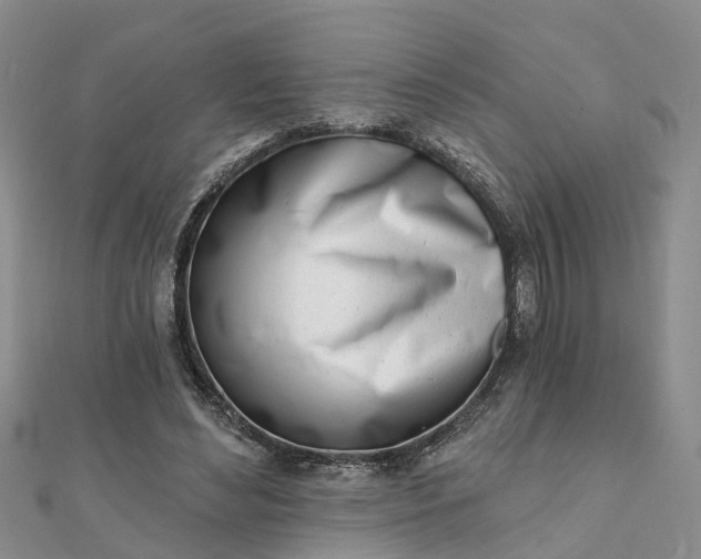 X0000112080492200908181245