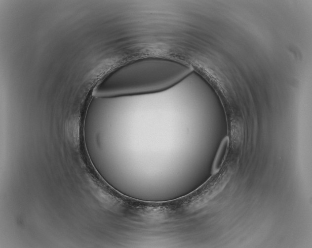 X0000112080493200908181245