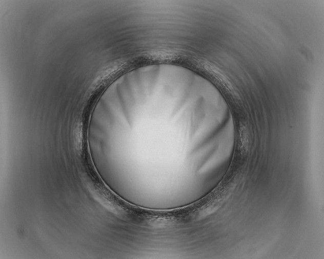 X0000112080494200908181245