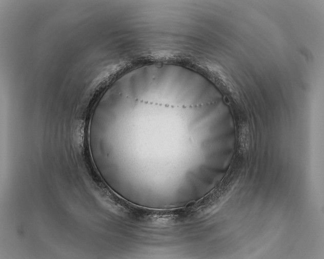 X0000112080495200908181245