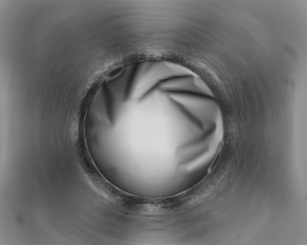 X0000112080496200908181245