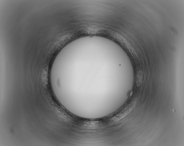 X0000112080497200908181245