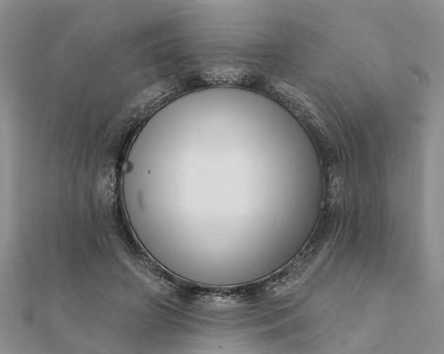 X0000112080498200908181245