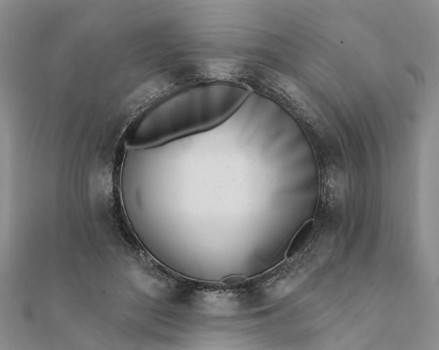 X0000112080500200908181245