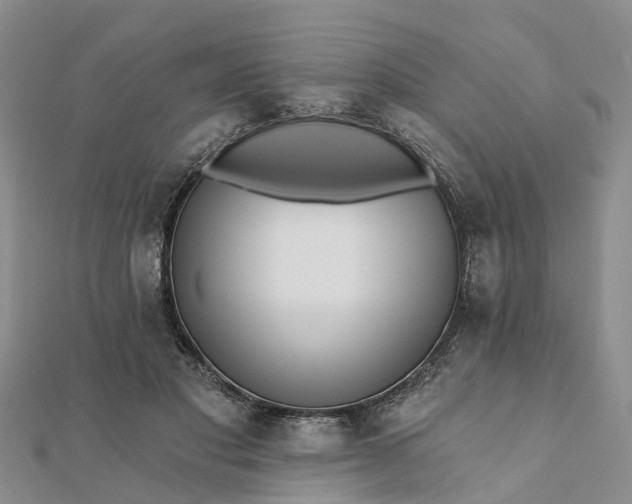 X0000112080501200908181245