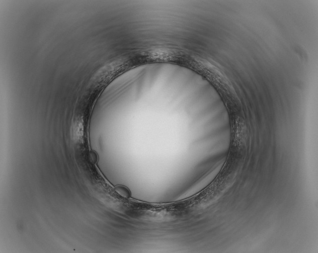 X0000112080502200908181245