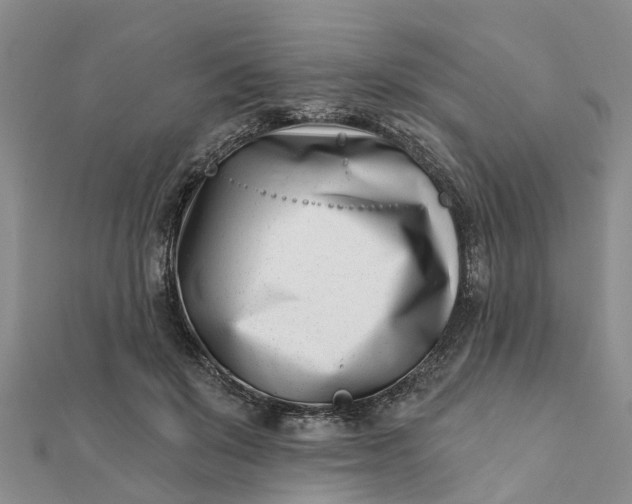 X0000112080503200908181245