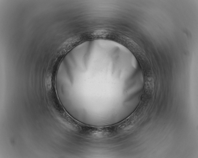 X0000112080504200908181245