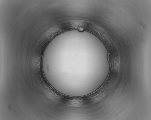 X0000112080505200908181245