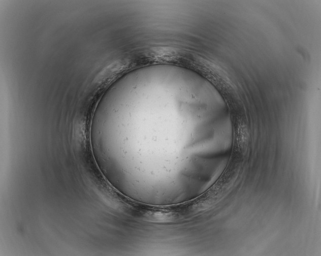 X0000112080506200908181245