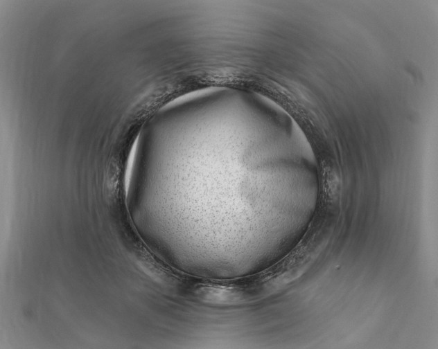 X0000112080507200908181245