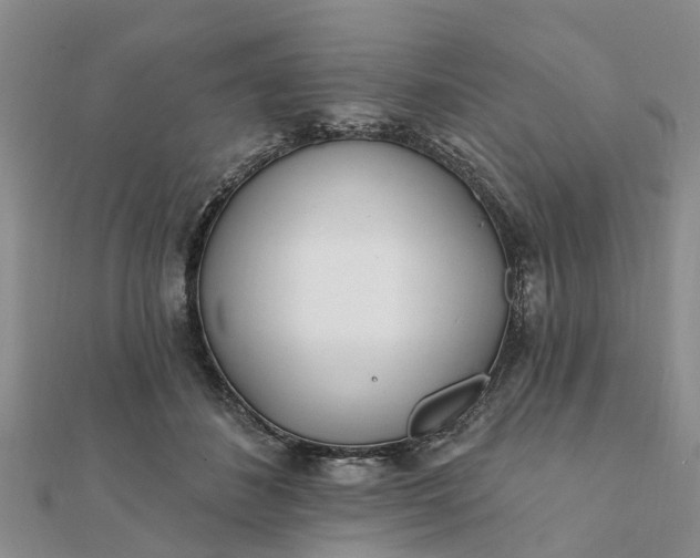 X0000112080508200908181245