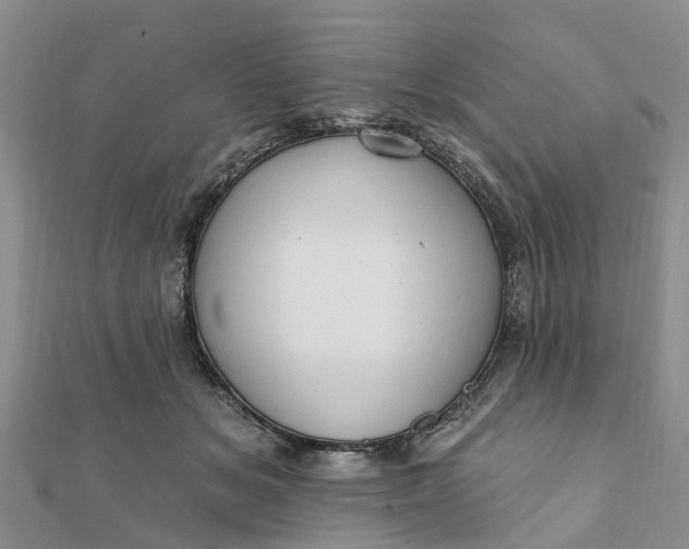 X0000112080509200908181245