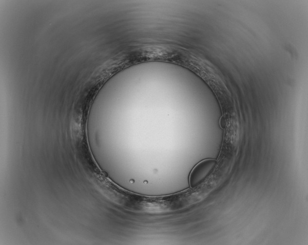 X0000112080510200908181245