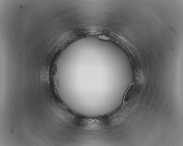 X0000112080512200908181245