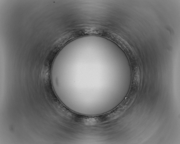 X0000112080513200908181245