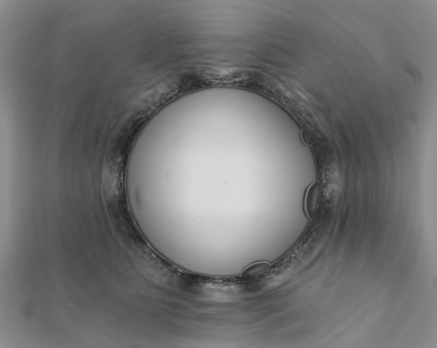 X0000112080515200908181245