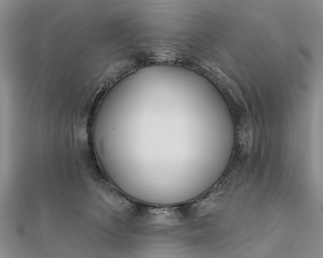 X0000112080516200908181245