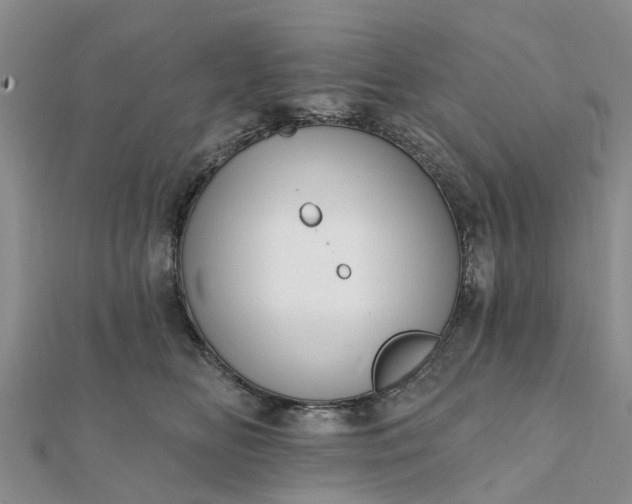 X0000112080518200908181245