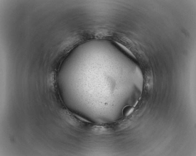 X0000112080519200908181245