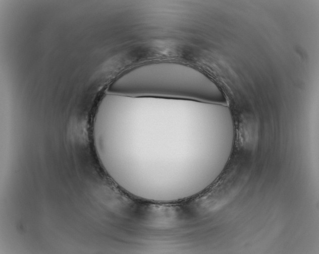 X0000112080520200908181244