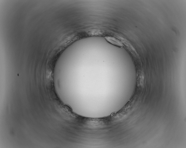 X0000112080521200908181244