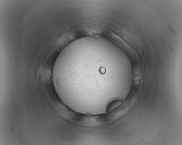 X0000112080523200908181244