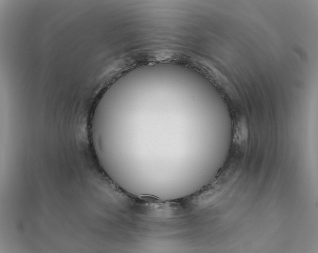 X0000112080524200908181244