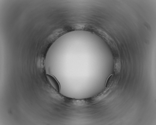 X0000112080525200908181244