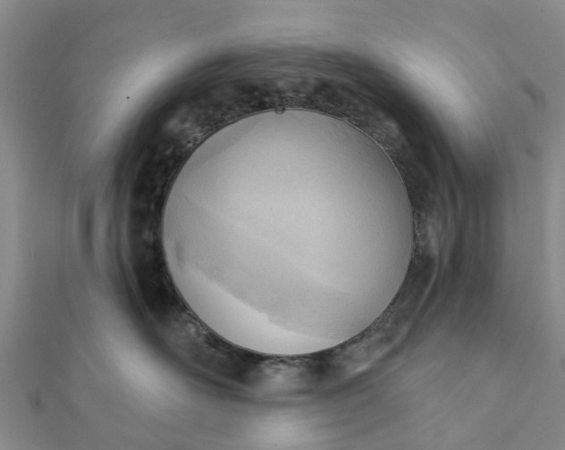 X0000112080526200908181244