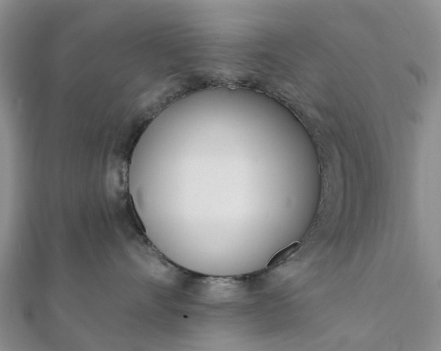 X0000112080528200908181244