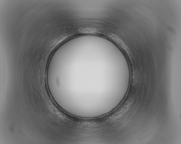 X0000112080529200908181244