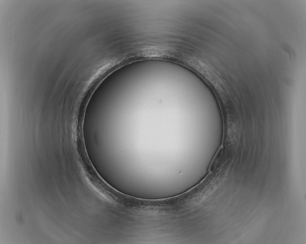 X0000112080530200908181244