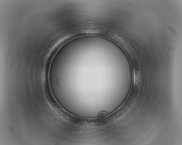 X0000112080531200908181244