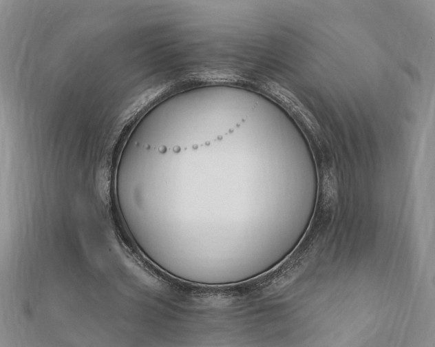 X0000112080533200908181244