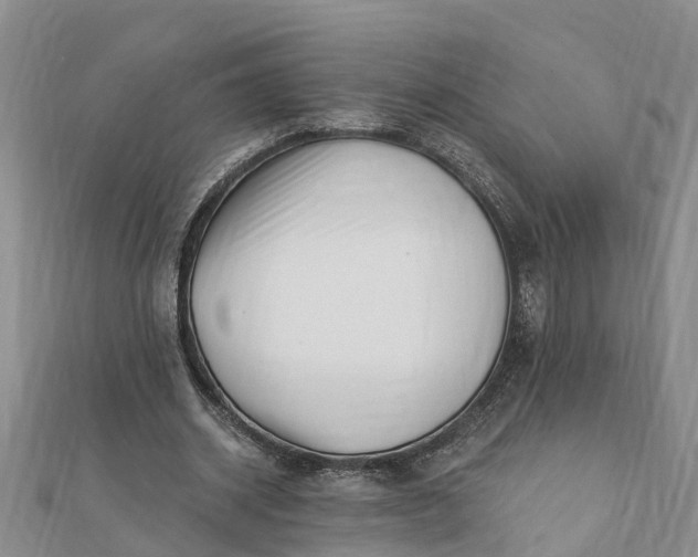 X0000112080534200908181244