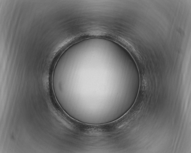 X0000112080535200908181244