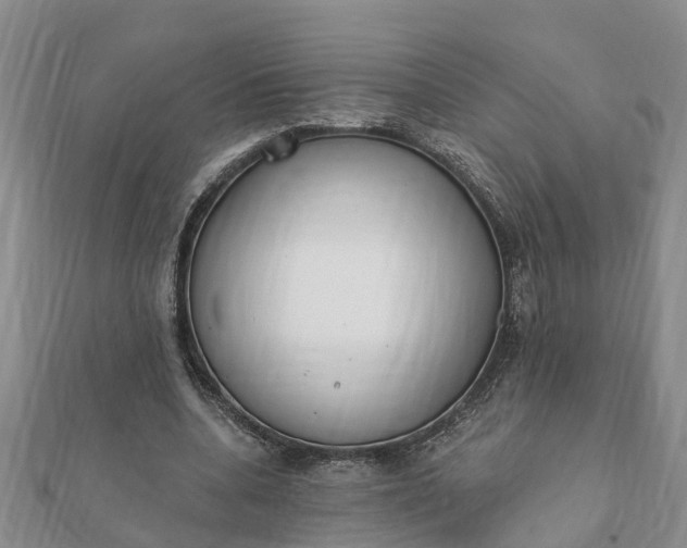 X0000112080536200908181244