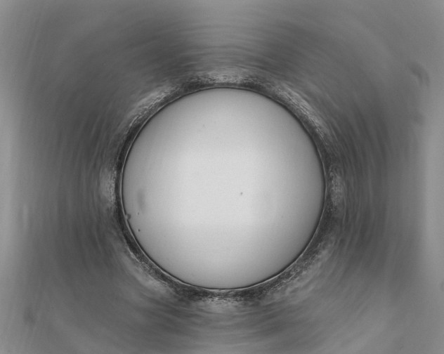 X0000112080537200908181244