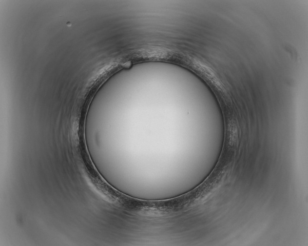 X0000112080538200908181244