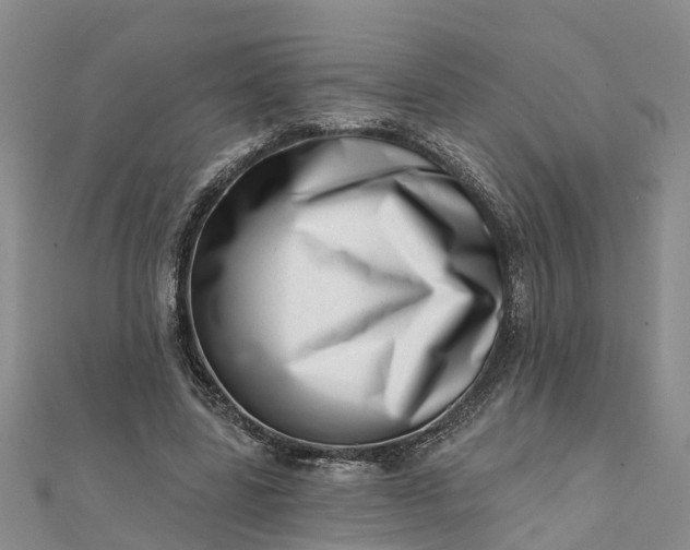 X0000112080539200908181244