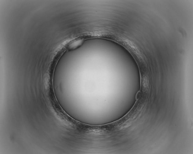 X0000112080540200908181244