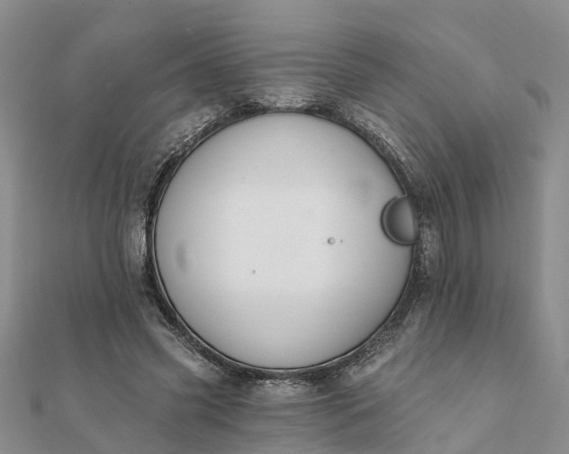 X0000112080541200908181244