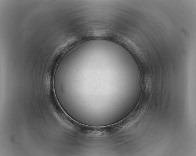 X0000112080542200908181244