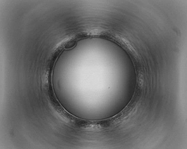 X0000112080543200908181244