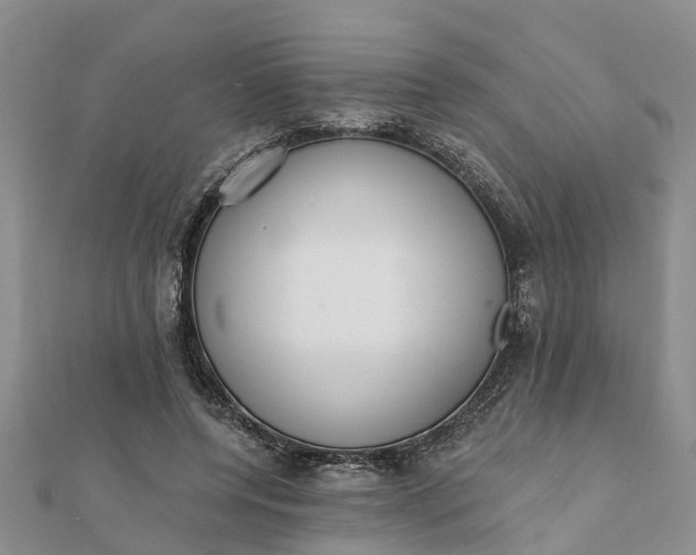 X0000112080544200908181244