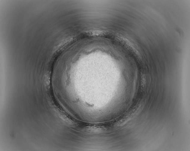 X0000112080545200908181244