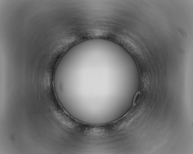 X0000112080546200908181244