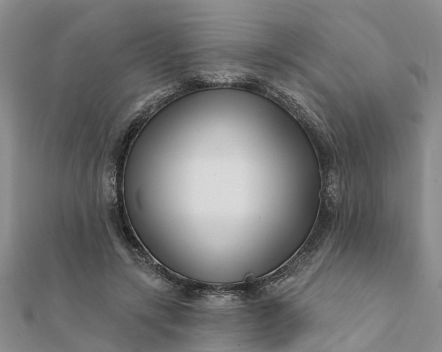 X0000112080547200908181244