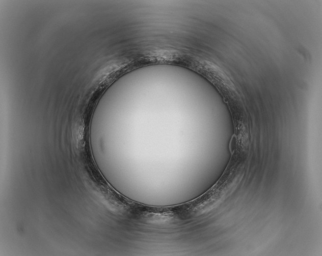 X0000112080548200908181244